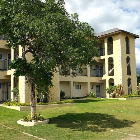 Donhead New Kingston Apt 5 外观 照片